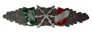 Funkleistungsabzeichen in SILBER