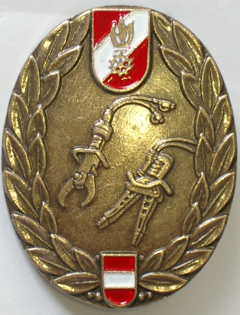Leistungsabzeichen THLP Bronze