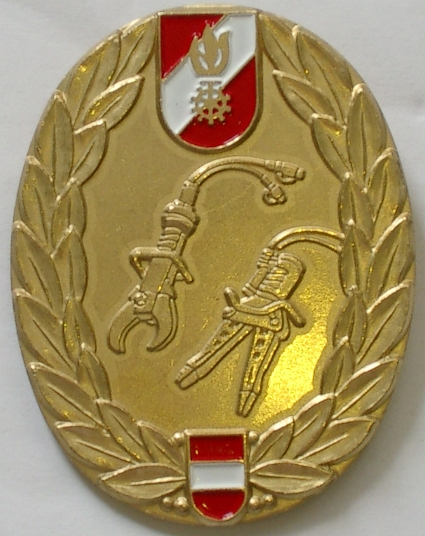 Leistungsabzeichen THLP Gold