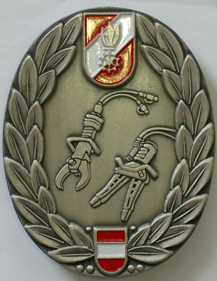 Leistungsabzeichen THLP Silber